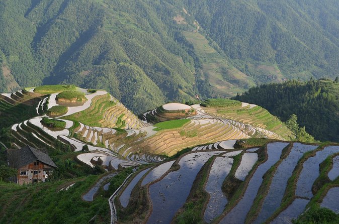 Longji Dazhai Rice Terraces Day Tour Cable Car Adventure - What’s Included vs. What You’ll Pay Later (and Why It Matters)