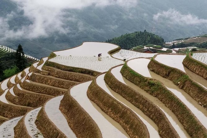 Longji Rice Terraces and Minority Village Day Tour - Price and Value: Is $116 a Good Deal?