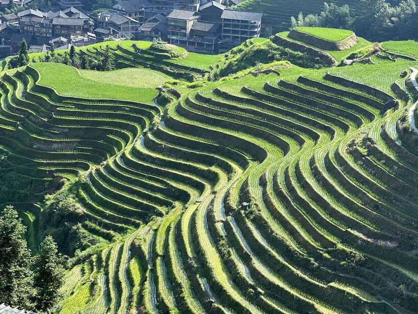 Longji Rice Terraces: Full-Day Private Tour from Guilin - Key Things You’ll Notice on This Longji Private Day