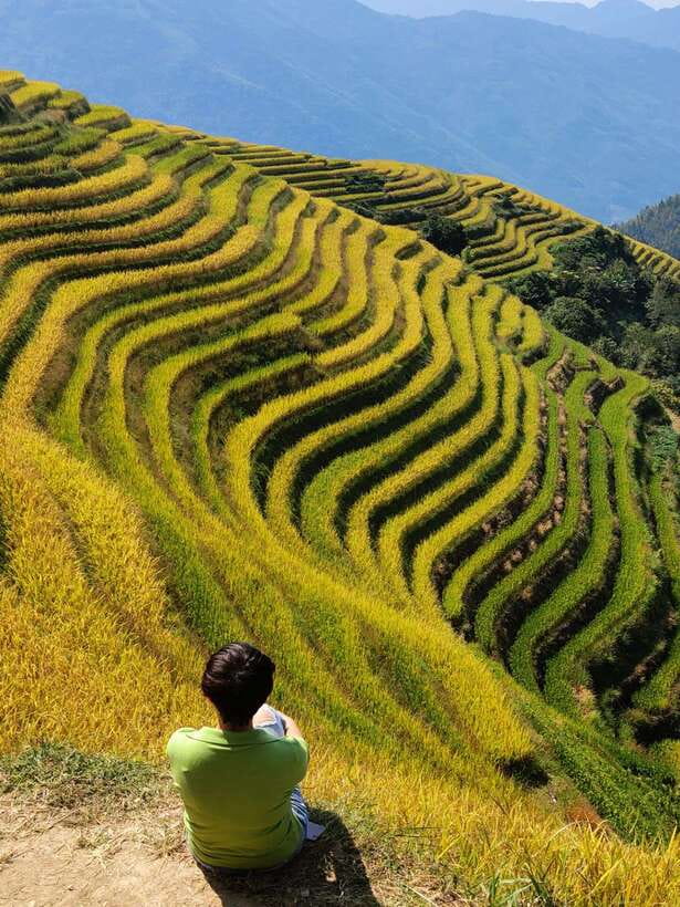 Longji Rice Terraces: Full-Day Private Tour from Guilin - Price and Value: Is $115 Worth It?