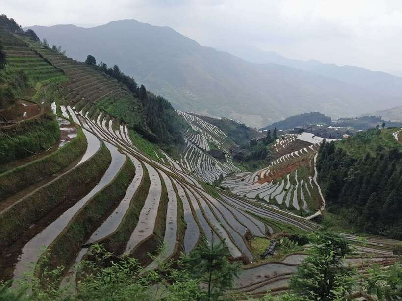 Longji Rice Terraces: Full-Day Private Tour from Guilin - Getting There Comfortably: Pickup, Private Car, and Drop-Off Reality