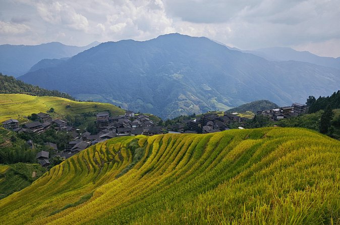Longji Rice Terraces Hiking Tour Full Day Adventure - Longji Rice Terraces: how the three areas affect your experience