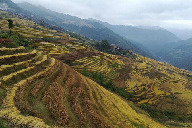 Longji Rice Terraces Hiking Tour Full Day Adventure - Village lunch and food: bamboo rice, chicken, and smoked pork