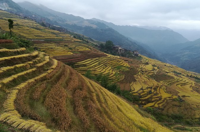 Longji Rice Terraces Hiking Tour Full Day Adventure - Who this tour is best for (and who might skip it)