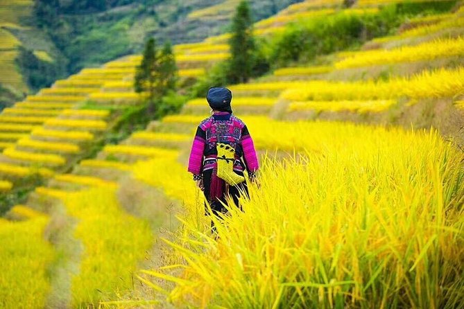 Longji rice terraces & minority villages private day tour - Guide quality matters here, and it can make or break the day