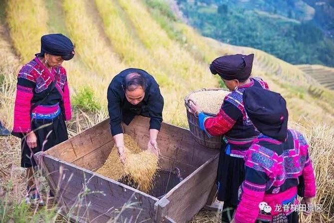 Longji rice terraces & minority villages private day tour - Price and value: what $193 per group really covers