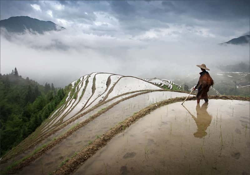 Longsheng Ethnic Minority & Rice Terraces Full-Day Tour - Key Things That Make This Tour Worth Your Day