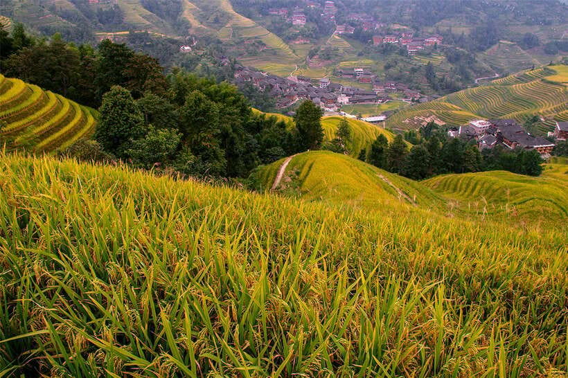 Longsheng Ethnic Minority & Rice Terraces Full-Day Tour - Price and Value: What $169 Buys, and What Costs Extra