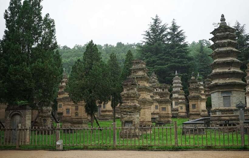 Louyang Day Tour from Xian: Longmen Grottoes, Shaolin Temple - Key Points You Will Care About
