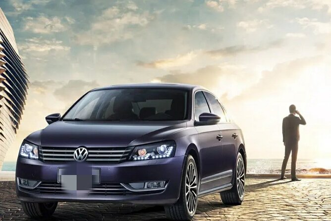 Luoyang private car for Longmen Grottoes and Shaolin temple - Key Highlights You’ll Care About
