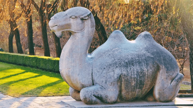Ming Tombs Admission Ticket - How to Move Between Tombs: Plan for Distance, Not Just Walking