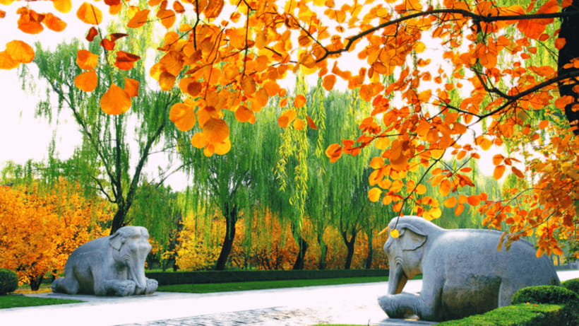 Ming Tombs Admission Ticket - Natural Setting at Tianshou Mountain: A Calm Break From Big Cities