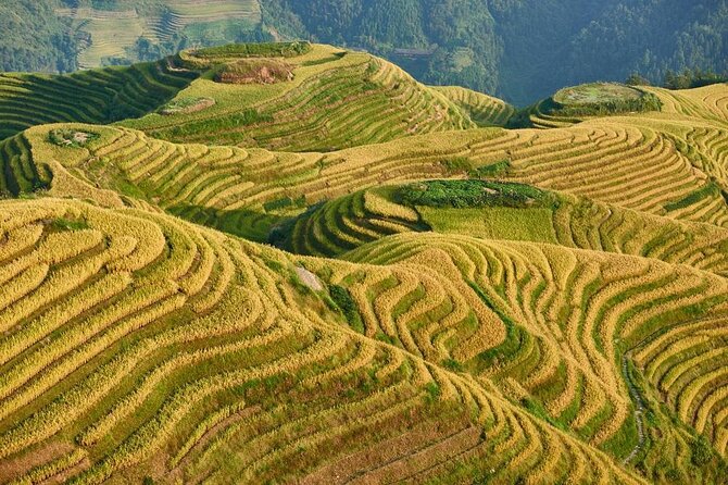 Mini Group: Longji Rice Terraced Fields and Minority Villages Tour - Key highlights to know before you go