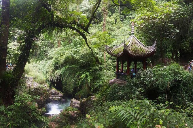 Mt Emei and Giant Buddha 2 Days Tour - Getting Back to Chengdu Around 5:30
