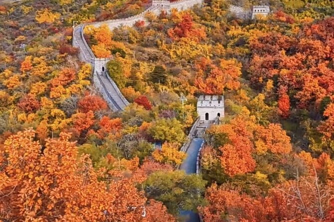 Mutianyu Great Wall and Forbidden City Private Tour with Lunch - Key things that make this tour worth your time