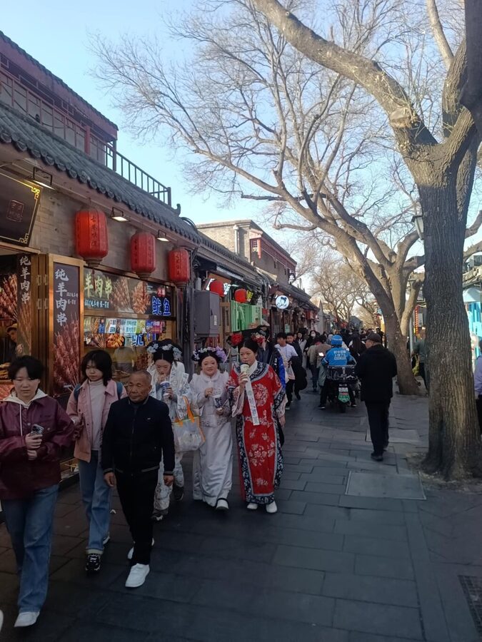 Mutianyu Great Wall And Gubei Watertown Private Day Tour - Should you book this Mutianyu Great Wall and Gubei Water Town private day tour?
