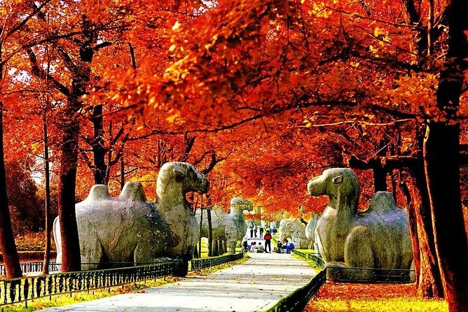 Nanjing City Private Customized Day Tour with Lunch - Key highlights to know before you go