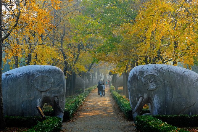 Nanjing Private English Tour Guide Service - How the itinerary flexibility actually helps you