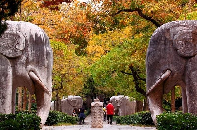 Nanjing Private Flexible Day Tour with Professional Guide and Driver Service - Stop 3: Ming City Wall and Zhonghua Gate, a walk with real scale