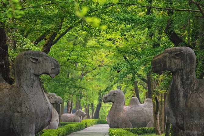 Nanjing Professional and Private Tour Guide Service - Customization options you may want to ask about