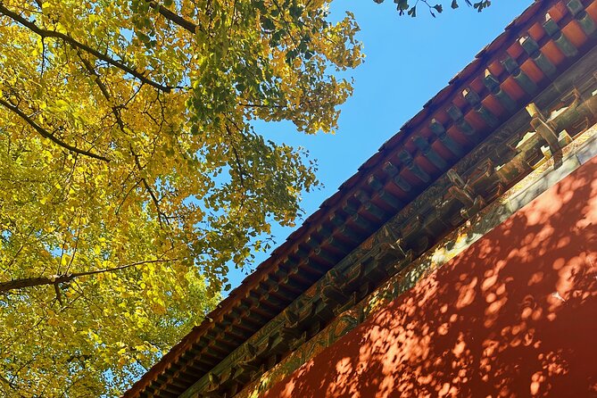 Nanjing Professional and Private Tour Guide Service - Stop 1: Niushou Mountain, Foding Palace, and the possible relic moment
