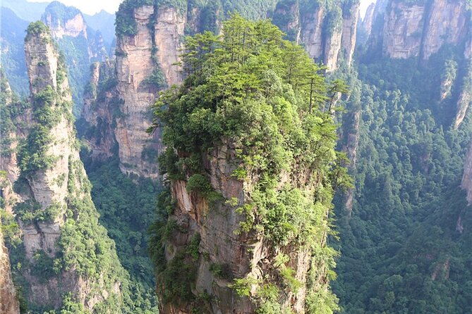 National Forest Park Avatar Mountain Day Tour - Key things to know before you go