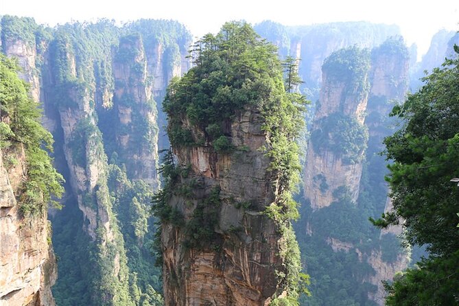 National Forest Park Avatar Mountain Day Tour - What This Half-Day Route Lets You Do in Zhangjiajie National Forest Park