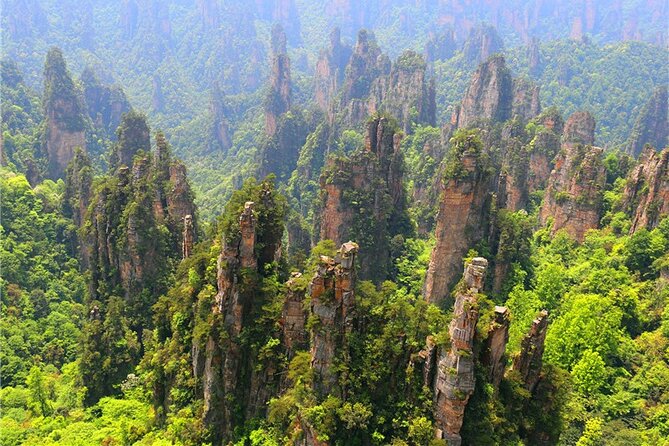 National Forest Park Avatar Mountain Day Tour - Price and Value: What $117 Covers, and the Missing Park Tickets