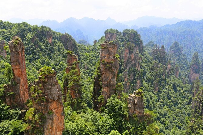 National Forest Park Avatar Mountain Day Tour - Who This Tour Fits Best, and How to Prepare
