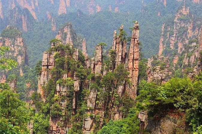 National Forest Park Avatar Mountain Day Tour - Should You Book This Avatar Mountain Day Tour?