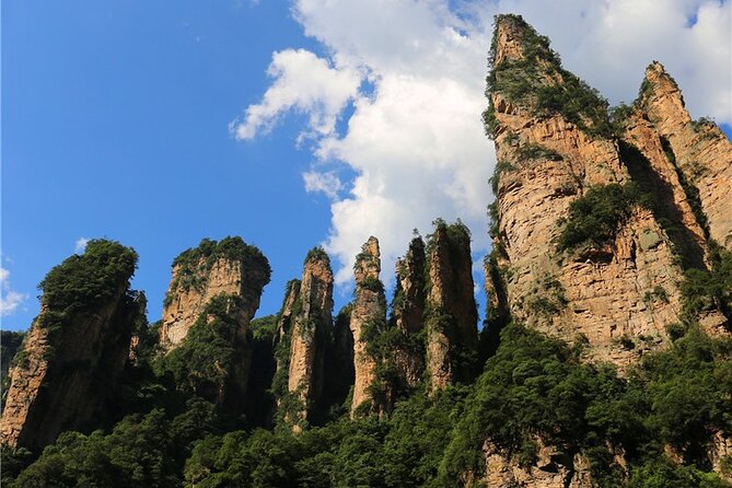 National Forest Park Avatar Mountain Day Tour - Bailong Elevator: A 326-Meter Ride You Feel in Your Stomach