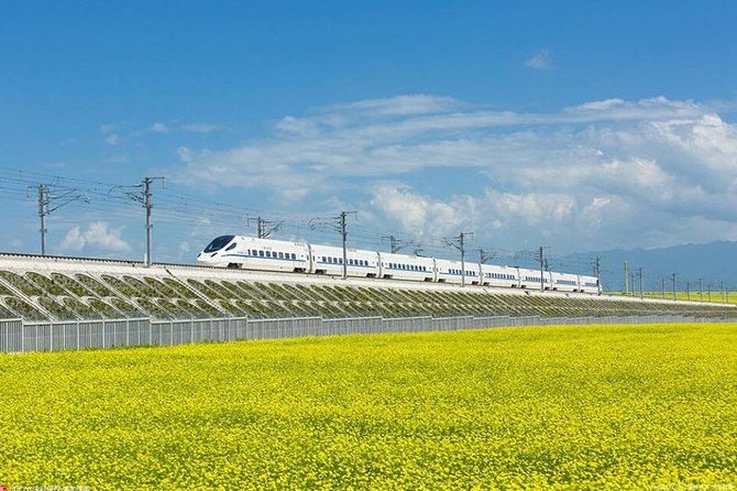 One Day Chengdu Xian Tour by Bullet Train - The Day-Trip Reality Check: Why It Feels Like Two Trips