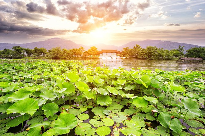 One-Day Hangzhou Dragon Well Tea Culture & West Lake Private Tour - Price and what you actually buy with $270 per person