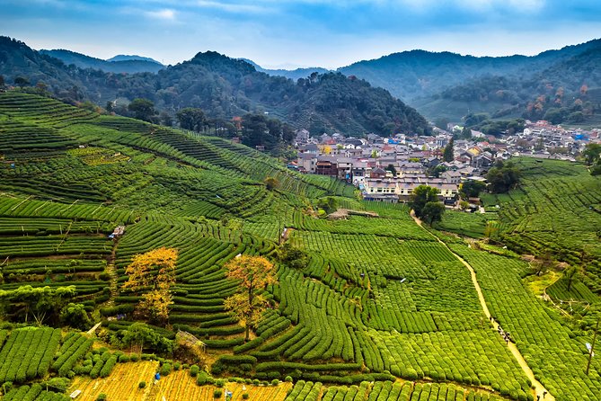One-Day Hangzhou Dragon Well Tea Culture & West Lake Private Tour - Pickup, private pace, and the rhythm of an 8-hour day
