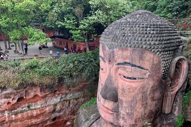 One Day Trip to Chengdu Panda Base and Leshan Buddha Tour - Why a Panda Base and Leshan Giant Buddha combo makes sense