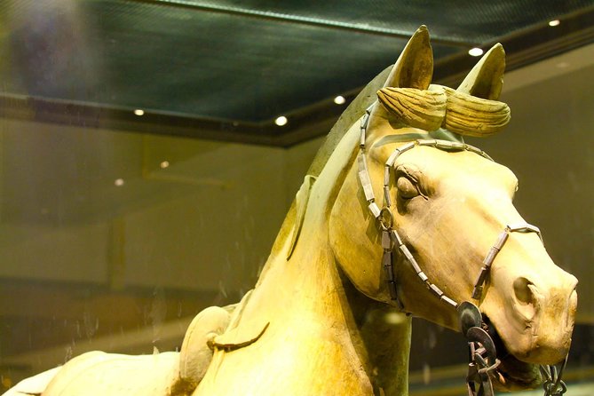One Day Xian Private Tour: Warriors, City Wall, Everbright City - Xi’an City Wall (Chengqiang): learn the defenses, then ride the idea