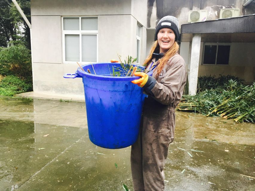Panda Volunteer Project Day Trip(Wolong/Du Jiang Yan) - Price and value: what $115 covers, and what you may pay extra