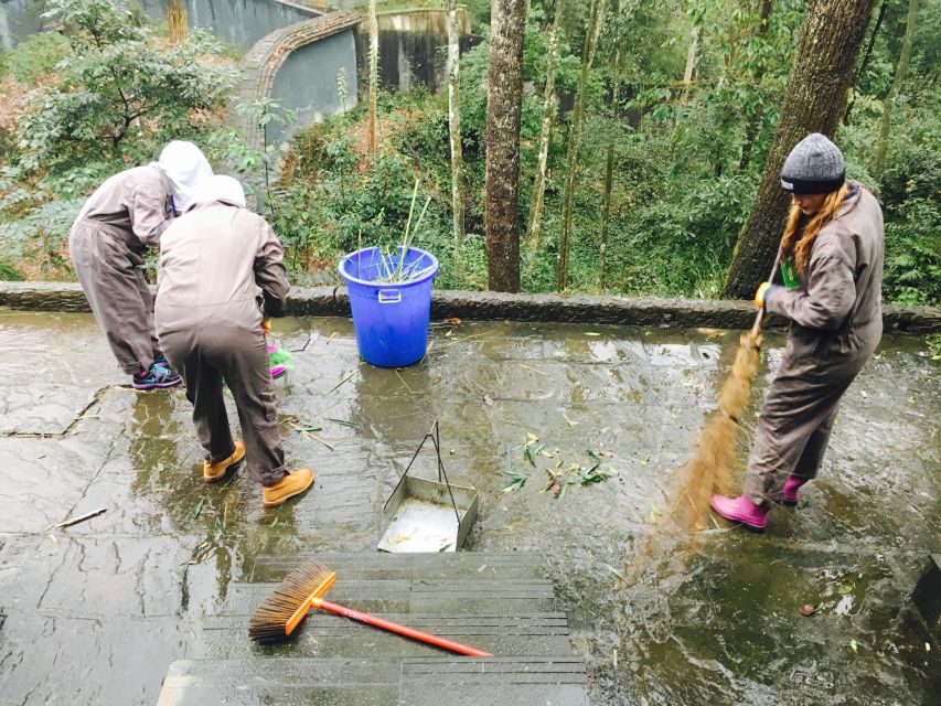 Panda Volunteer Project Day Trip(Wolong/Du Jiang Yan) - Who should book this volunteer day trip, and who should skip it