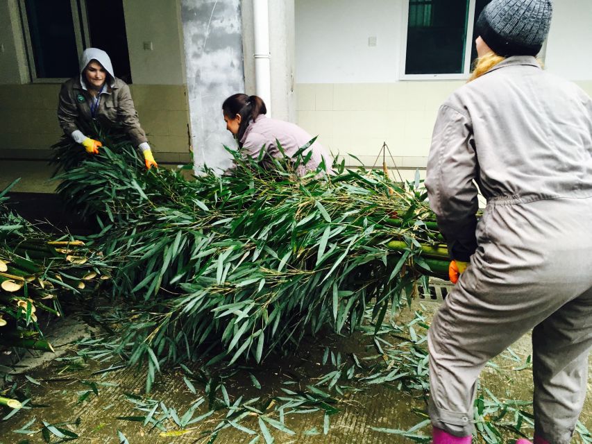 Panda Volunteer Project Day Trip(Wolong/Du Jiang Yan) - What to bring, what you can’t bring, and what to wear