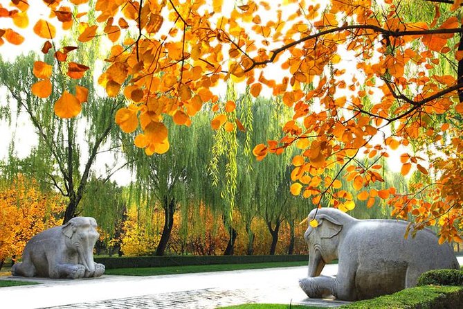Private Beijing Day Trip: Mutianyu Great Wall and Ming Tombs - How the tour uses a guide to improve your Great Wall day