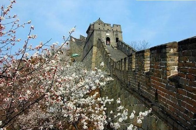 Private Beijing Layover Tour: PEK Airport to Mutianyu Great Wall - The private pickup at PEK: comfort and control