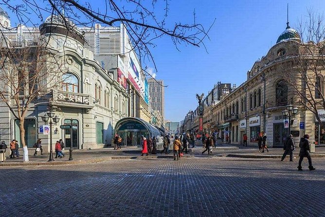 Private Customized Harbin City Day Tour by Public Transportation - Custom Route, Included Fares, and the 8 to 9 Hour Reality