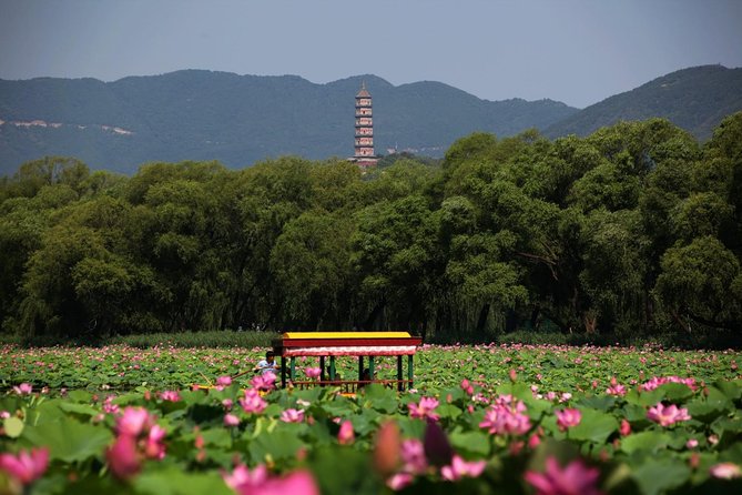 Private Day Tour: Summer Palace and Old Summer Palace in Beijing - Yulan Hall, Hall of Happiness and Longevity, and the Stories Behind the Spaces