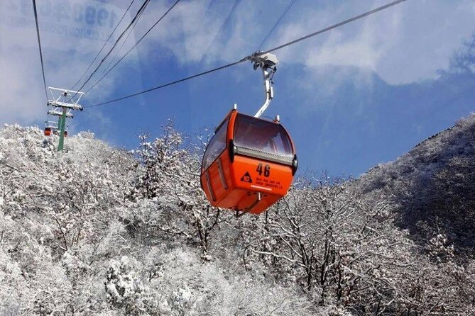 Private Day Tour to Beijing Mutianyu Great Wall - Options if you want more time: extending to 8 hours