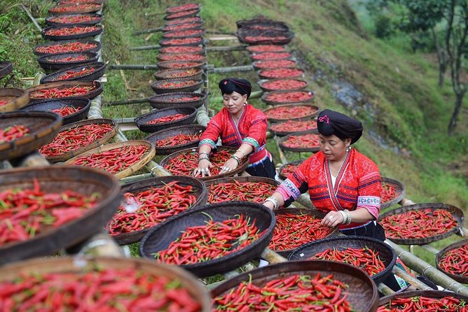 Private Day Tour to Longji Rice Terraces and Long Hair Village from Guilin - Price and value: is $158 per person worth it?