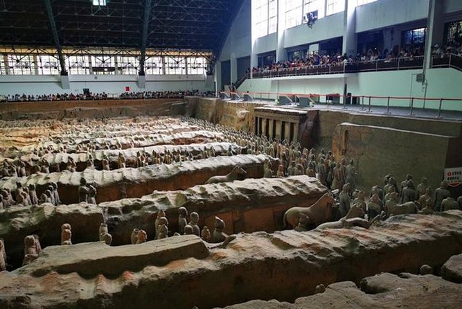 Private Day Tour:Xi'an Panda（QI ZAI） and Terracotta Warriors Museum - Guides, communication, and the small details that make or break the day