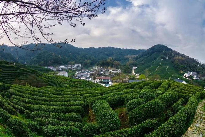 Private Day Trip to Hangzhou from Shanghai by Bullet Train - Why Hangzhou Works as a Shanghai Day Trip, and Why This One Feels Easy