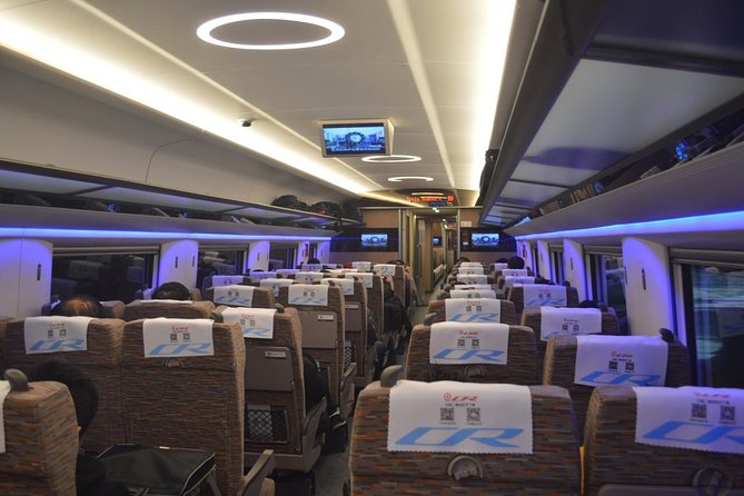 Private Day Trip to Suzhou from Shanghai by Bullet Train - First-class bullet train: fast, comfy, and mostly stress-free