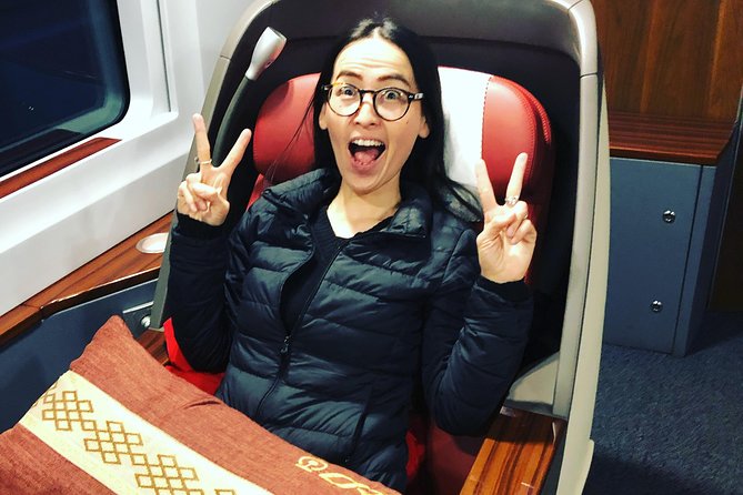 Private Day Trip to Terracotta Army from Beijing by Bullet Train - Who This Terracotta Army From Beijing Day Trip Suits Best