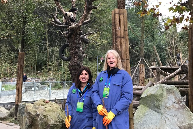 Private Dujiangyan Panda Base Panda Rescue Center Volunteer for a Day - Pickup, Ride Time, and What the 7 to 8 Hours Feels Like